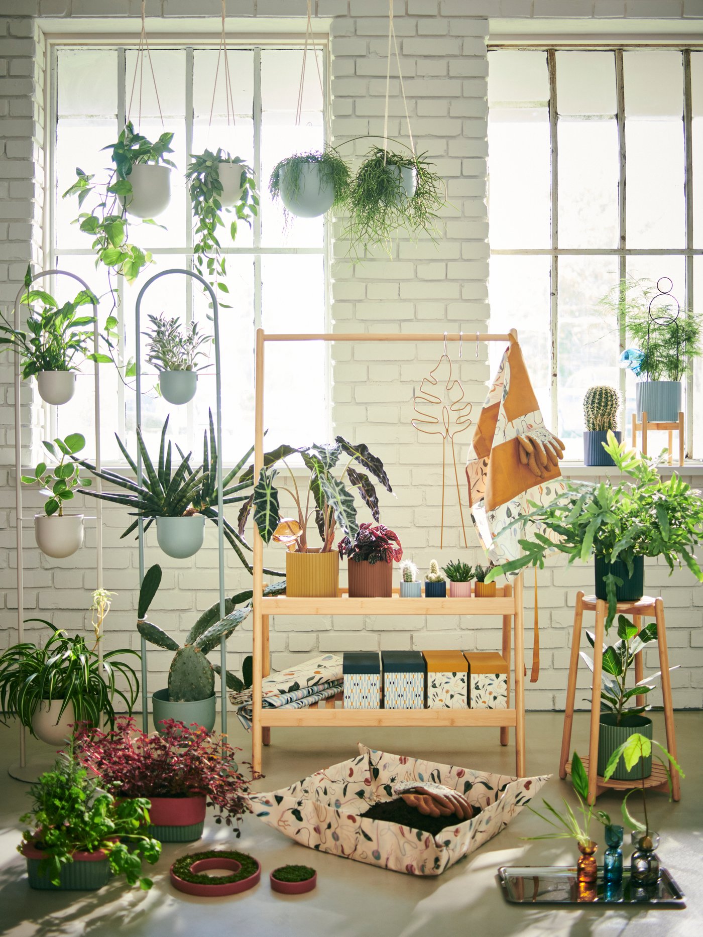 Espace intérieur lumineux avec de nombreuses plantes sur étagères, tables et suspensions. Un coin de verdure au cœur de la maison.