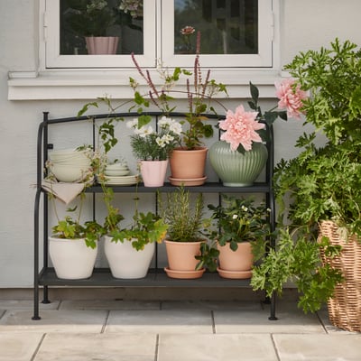 Pots & plants