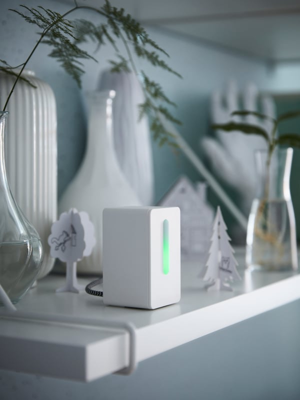 Un détecteur de qualité de l’air blanc, des vases en verre avec des boutures de plante et un ensemble de construction de ville en carton, 10 pièces.