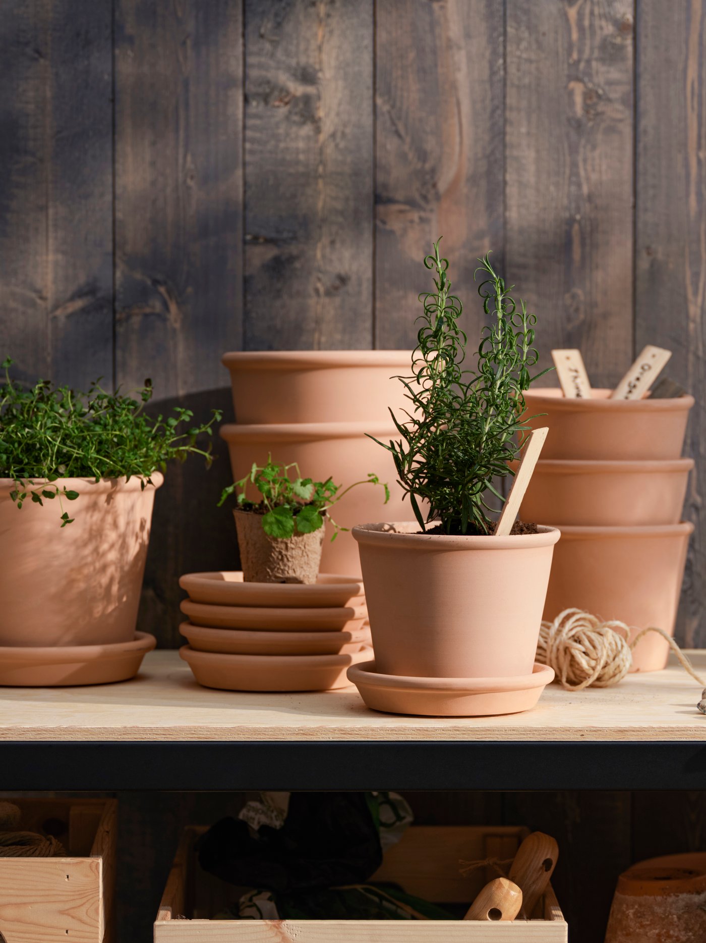 An in/outdoor terracotta MUSKOTBLOMMA plant pot with saucer