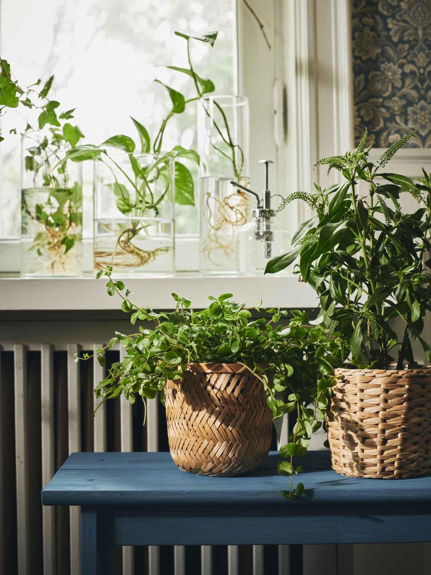 Maceta FRIDFULL de bamboo con plantas verdes, colocados sobre una mesa junto a una ventana.