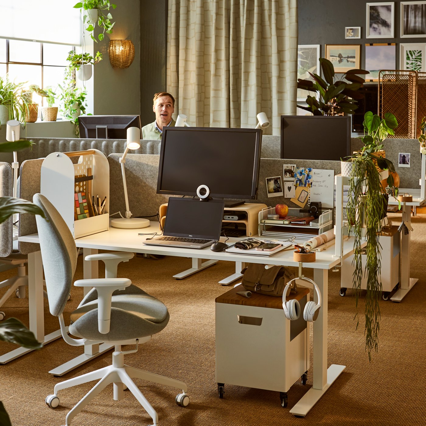 A softly sunlit office with several MITTZON desks and acoustic screens as workspaces, leafy plants, decorations and wall art.
