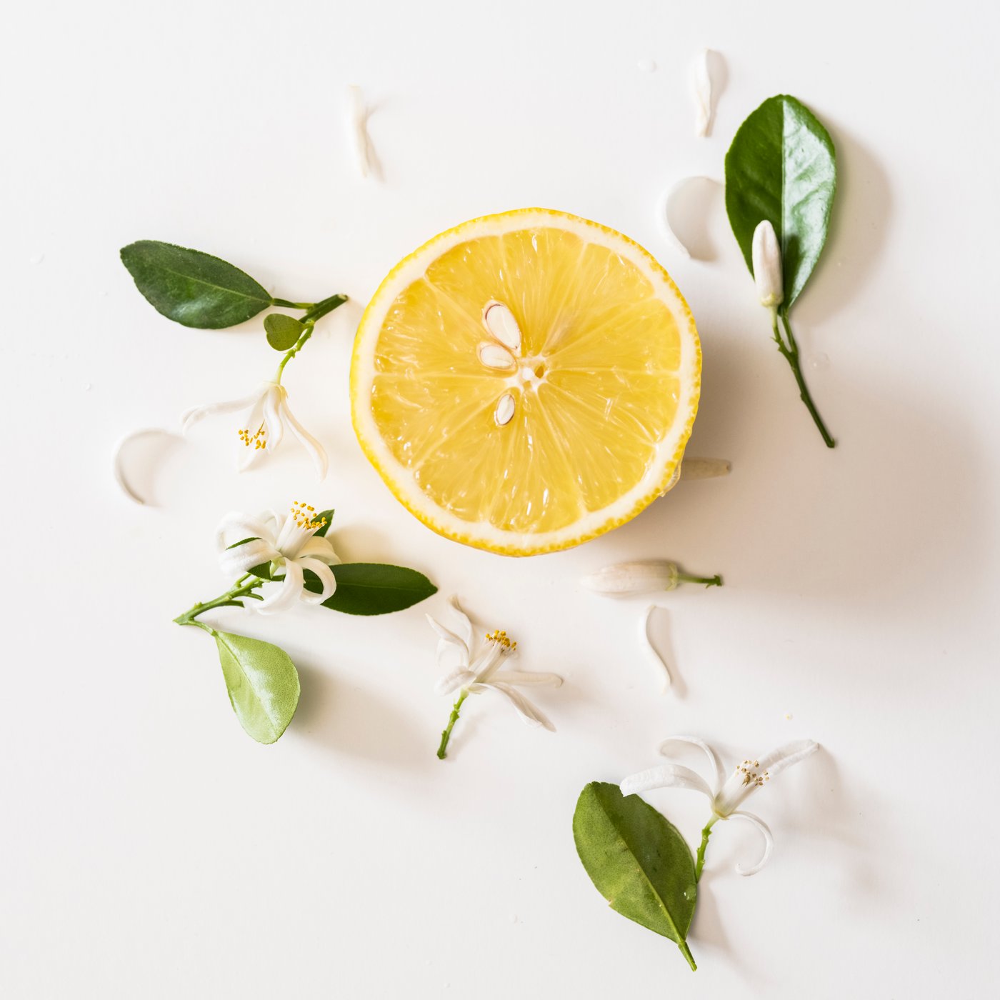 A Citrus flower light yellow LOTSFÅGEL scented candle in glass in the NA