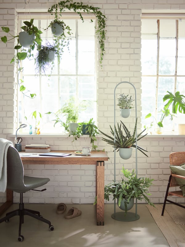 A workspace with large windows and lots of plants, some of them in DAKSJUS hanging planters and a DAKSJUS plant stand.