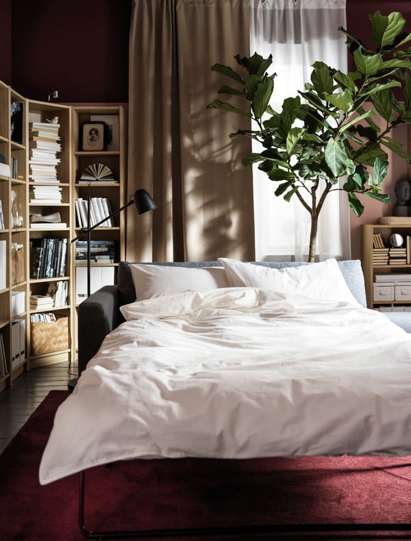 Living con un sofá cama convertido en cama. En el fondo se ve una ventana con cortinas oscurecedoras ANNAKAJSA. Junto al sofá cama se ve una planta grande y una estantería.