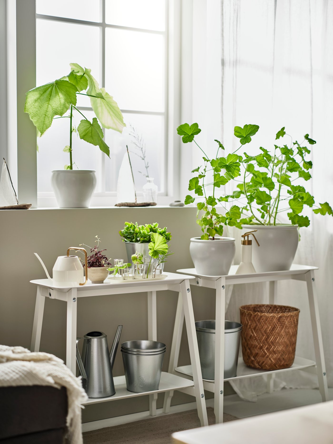 Two white plant stands with storage placed under a bright window. Green plants and different pots and watering cans.