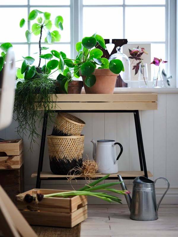 VANILJSTÅNG plant stand 67 pine/black