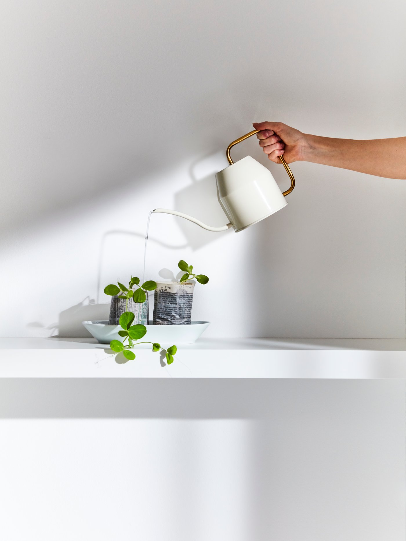 Una persona sosteniendo una regadera VATTENKRASSE regando plantas sobre una mesa.