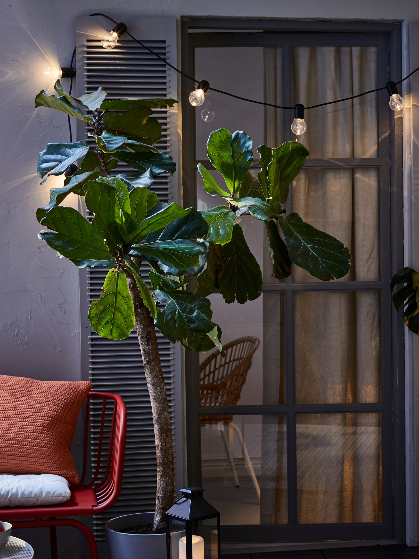 Night-time exterior of balcony door with shutters, surrounded by various plants, lighting chain and LED lamp.