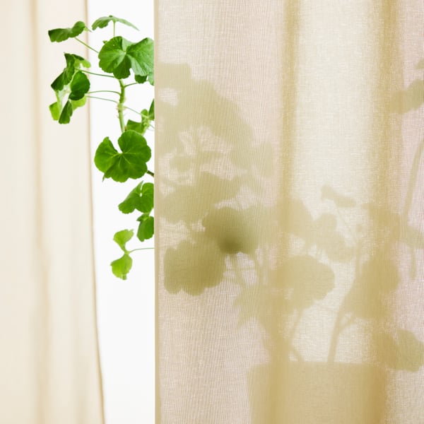 Close-up of ROSENROBINIA sheer curtains, showing a silhouette of a green plant behind the curtain.