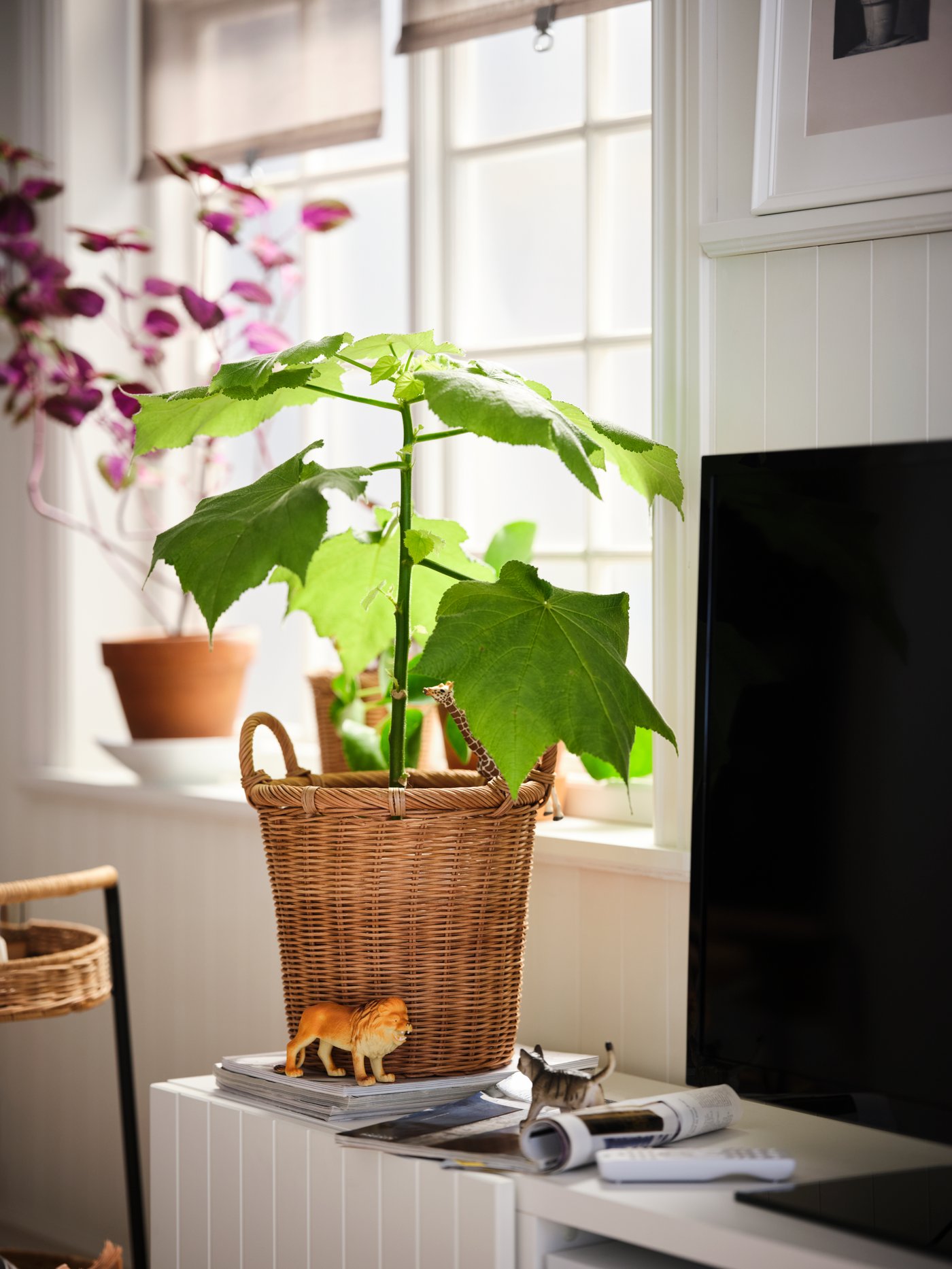 An encounter between small toy animals takes place beneath a green plant standing in a KAKTUSFIKON rattan plant pot.