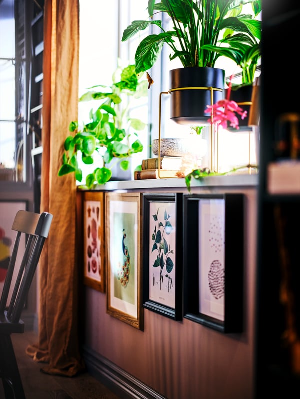 A naturally-lit windowsill with potted plants above and framed art on the wall below.