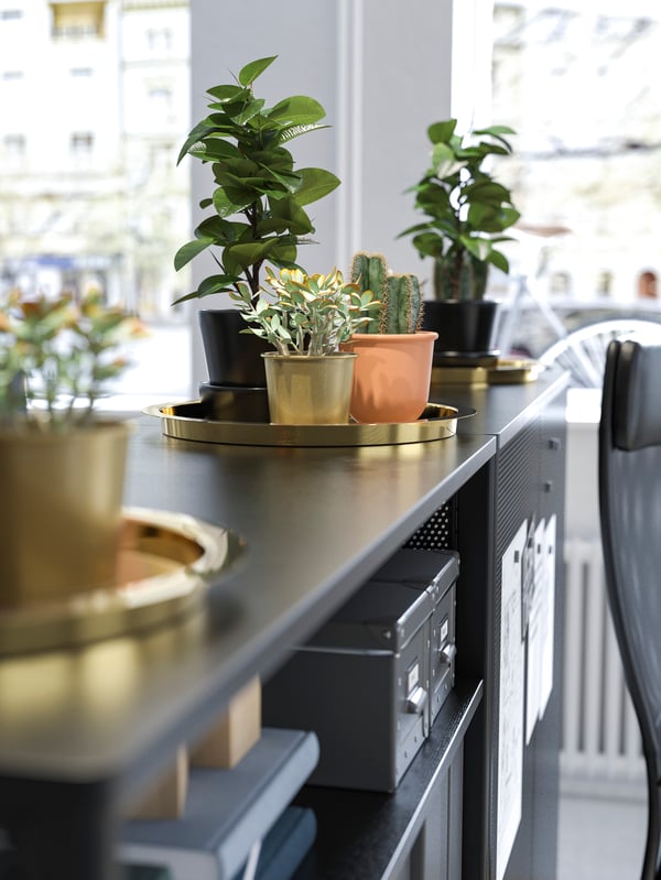 GLATTIS gold serving trays with a collection of potted plants, on top of a black storage unit.