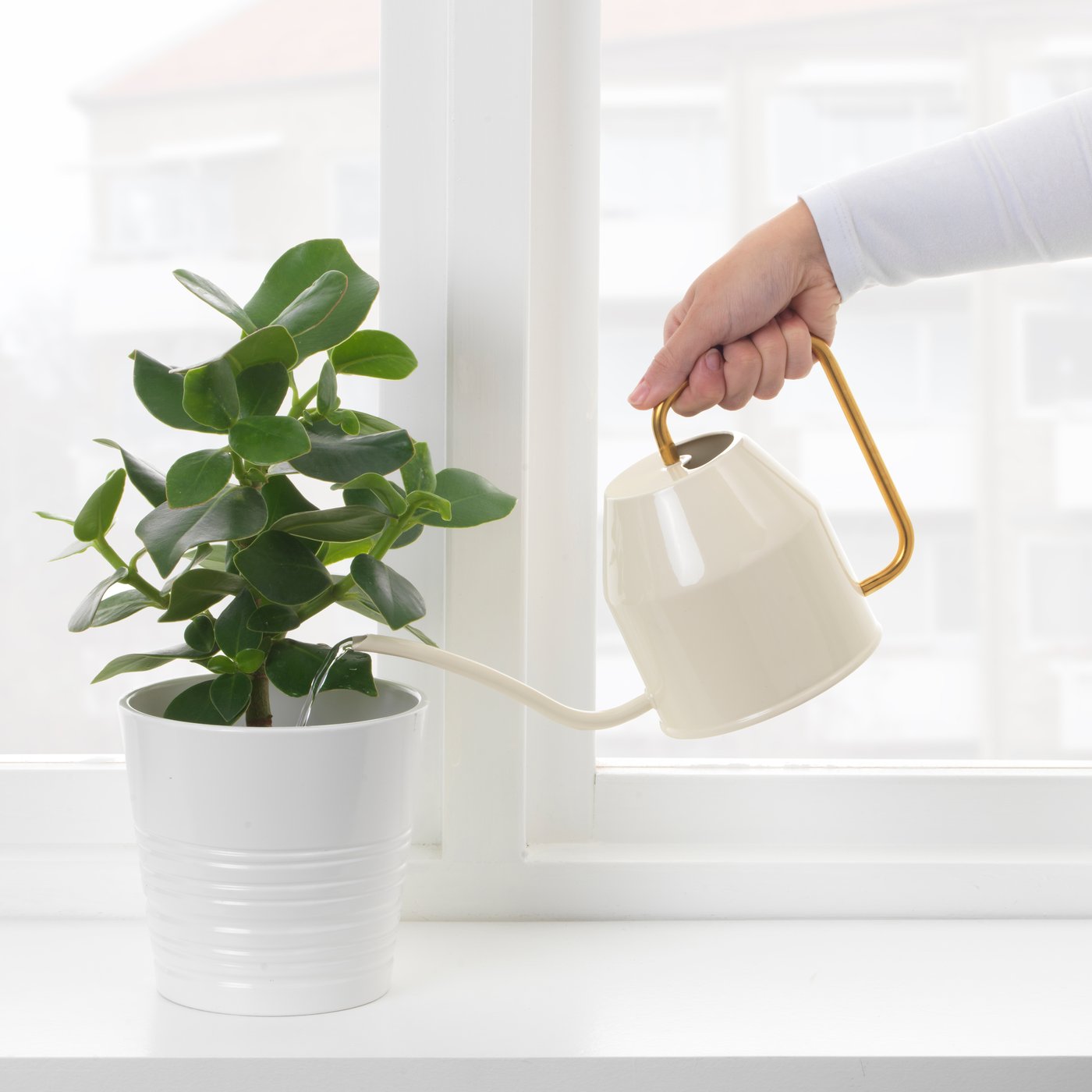 An ivory/gold-colour VATTENKRASSE watering can