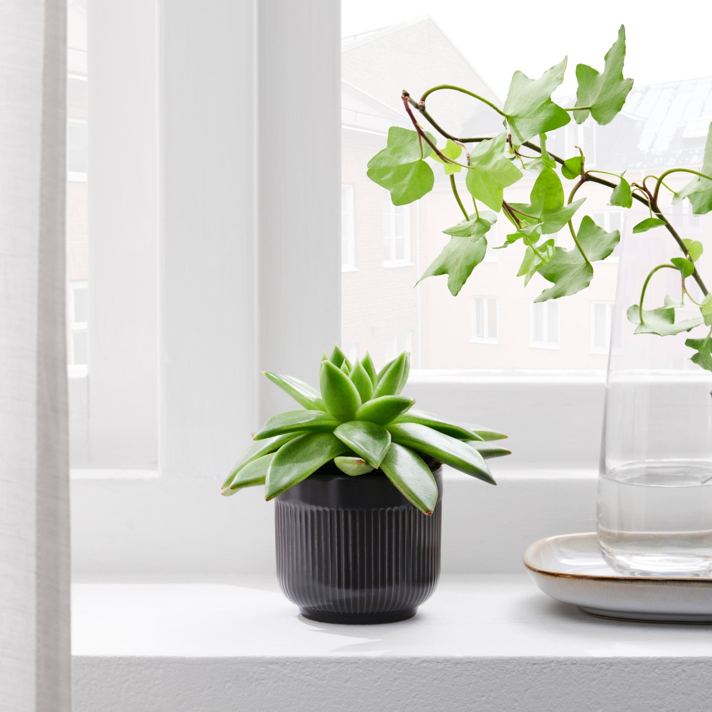 An in/outdoor black GRADVIS plant pot