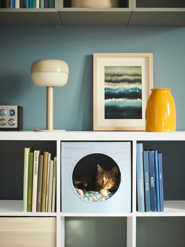 A cat in IKEA UTSÅDD light blue cat house inside a KALLAX storage unit in the living room.