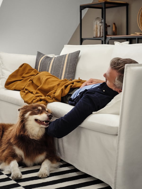 Un homme allongé sur un canapé blanc caressant un chien, un jeté brun doré foncé et une housse de coussin noire/beige.