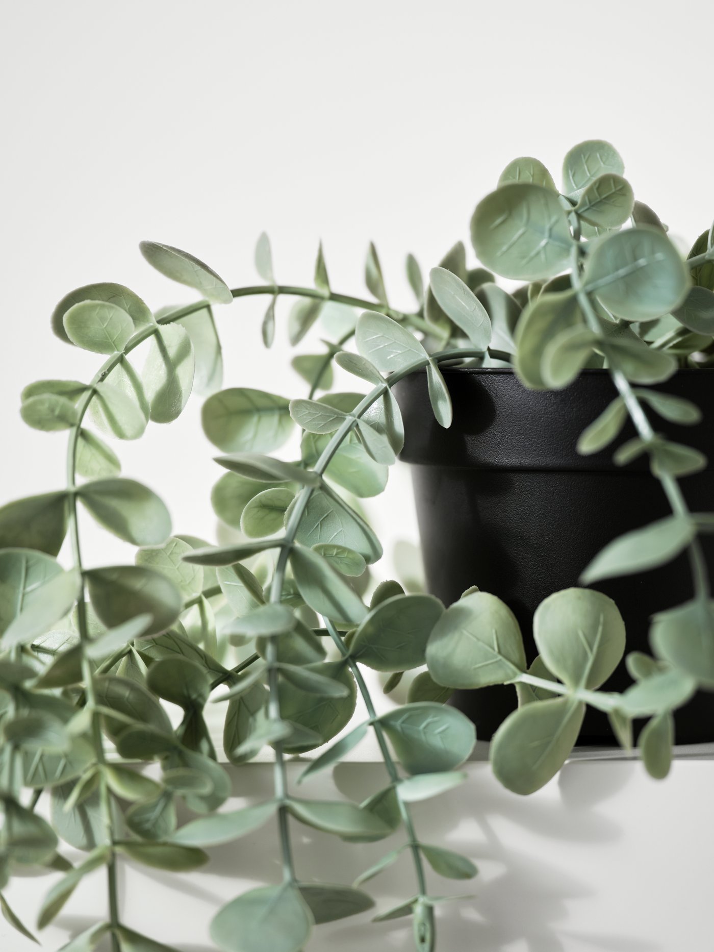 Artificial plants