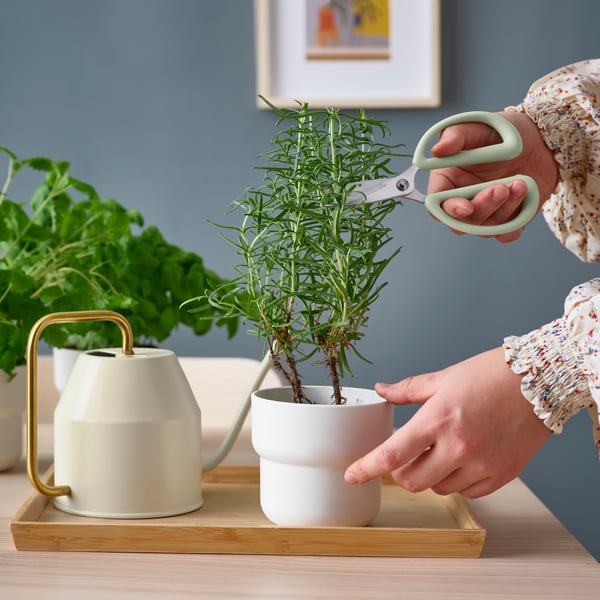 A light green BRYTBÖNA herb scissors