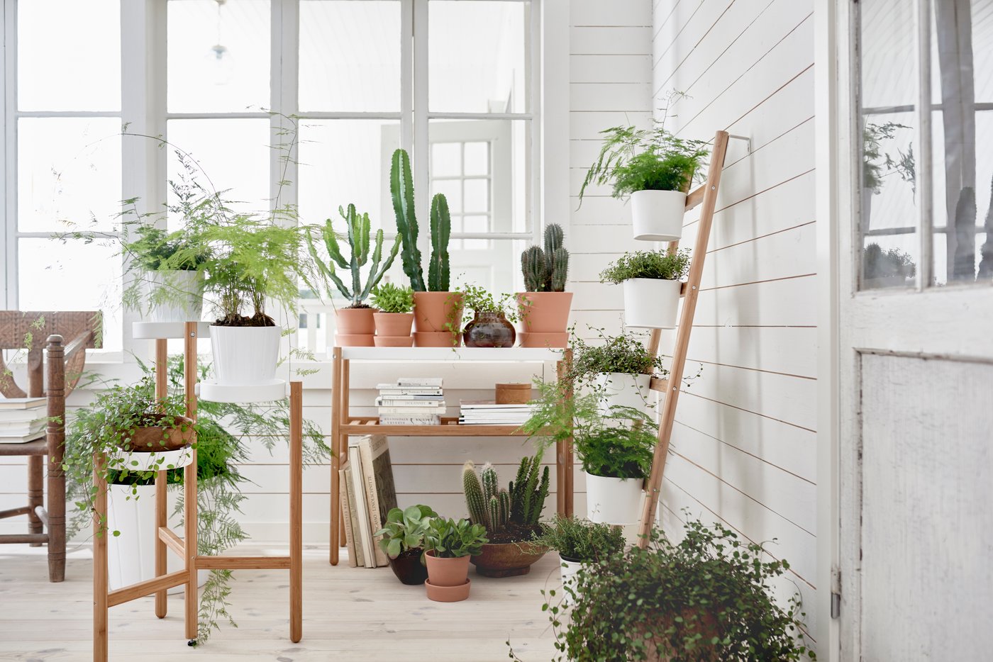 A bamboo/white SATSUMAS plant stand with 5 plant pots
