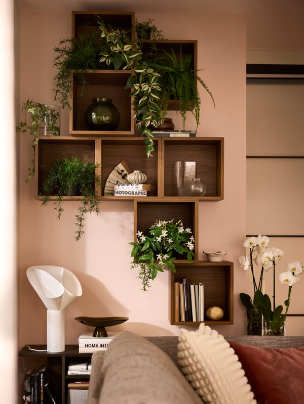 A softly sunlit wall with an asymmetrical arrangement of EKET cube cabinets, filled with decoration and leafy FEJKA plants.