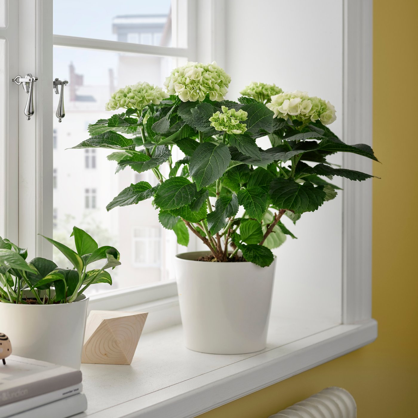 A white SOJABÖNA plant pot