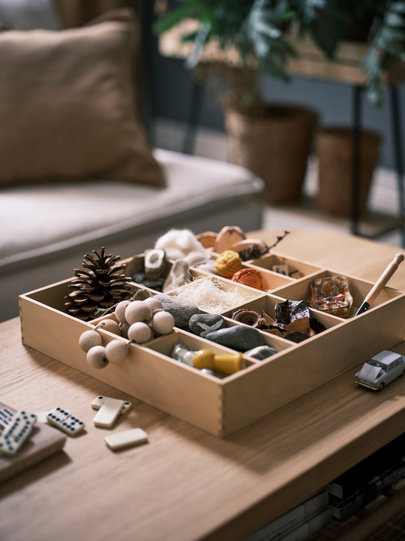 Various small, natural objects displayed in a birch SKUTSKÄR display shelf lying on a table, with potted plants behind.