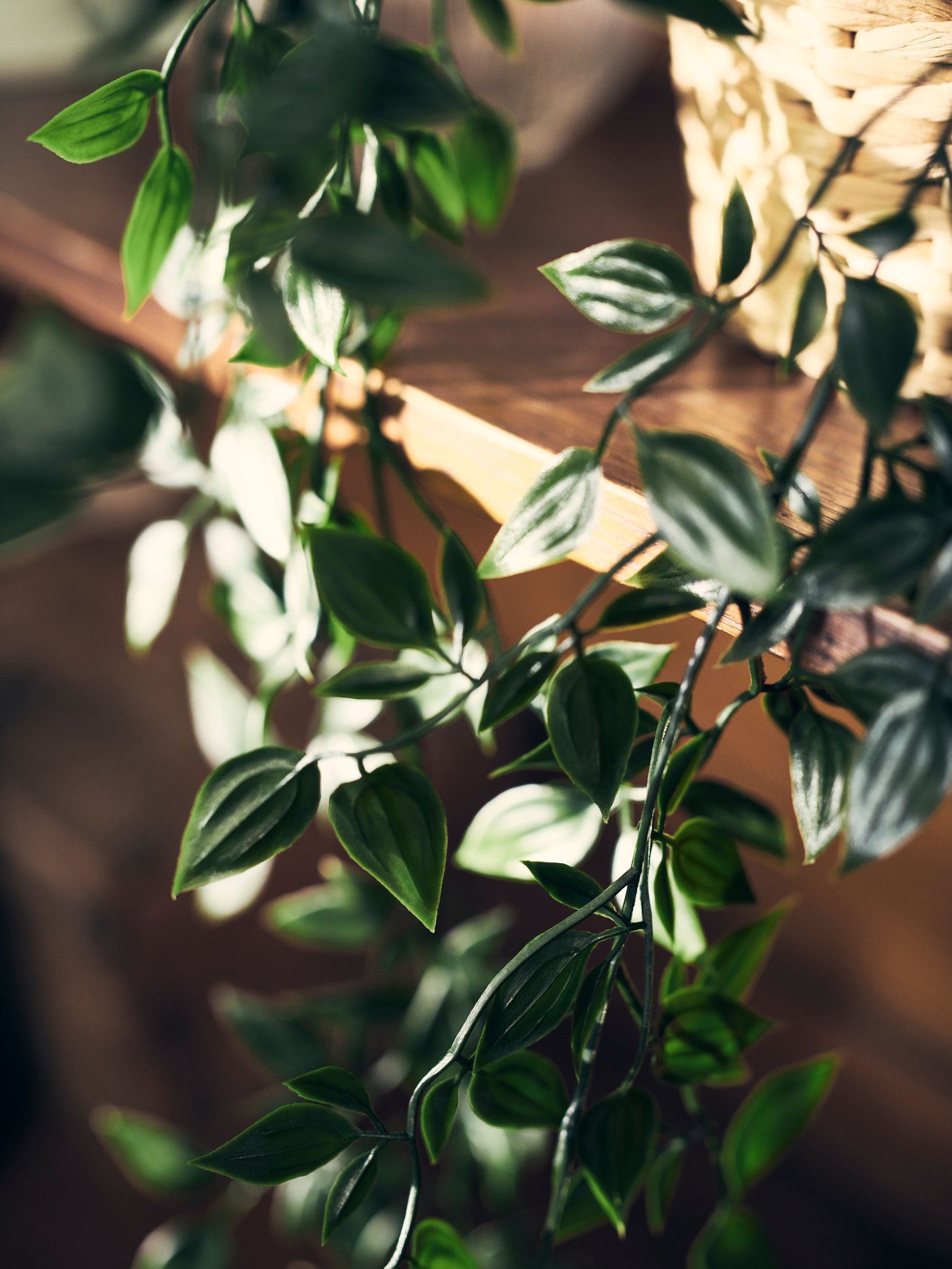 The long foliage of a FEJKA artificial potted plant drooping over the edge of the wooden ledge it stands on.
