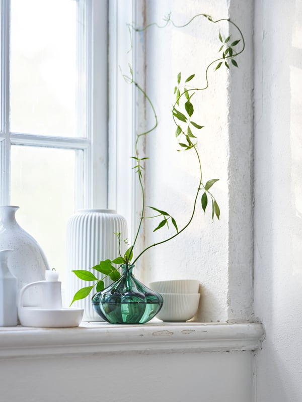 A collection of white ceramic and coloured glass vases in a rustic style sit in a bright window sill, one has a peice foliage springing from the top.