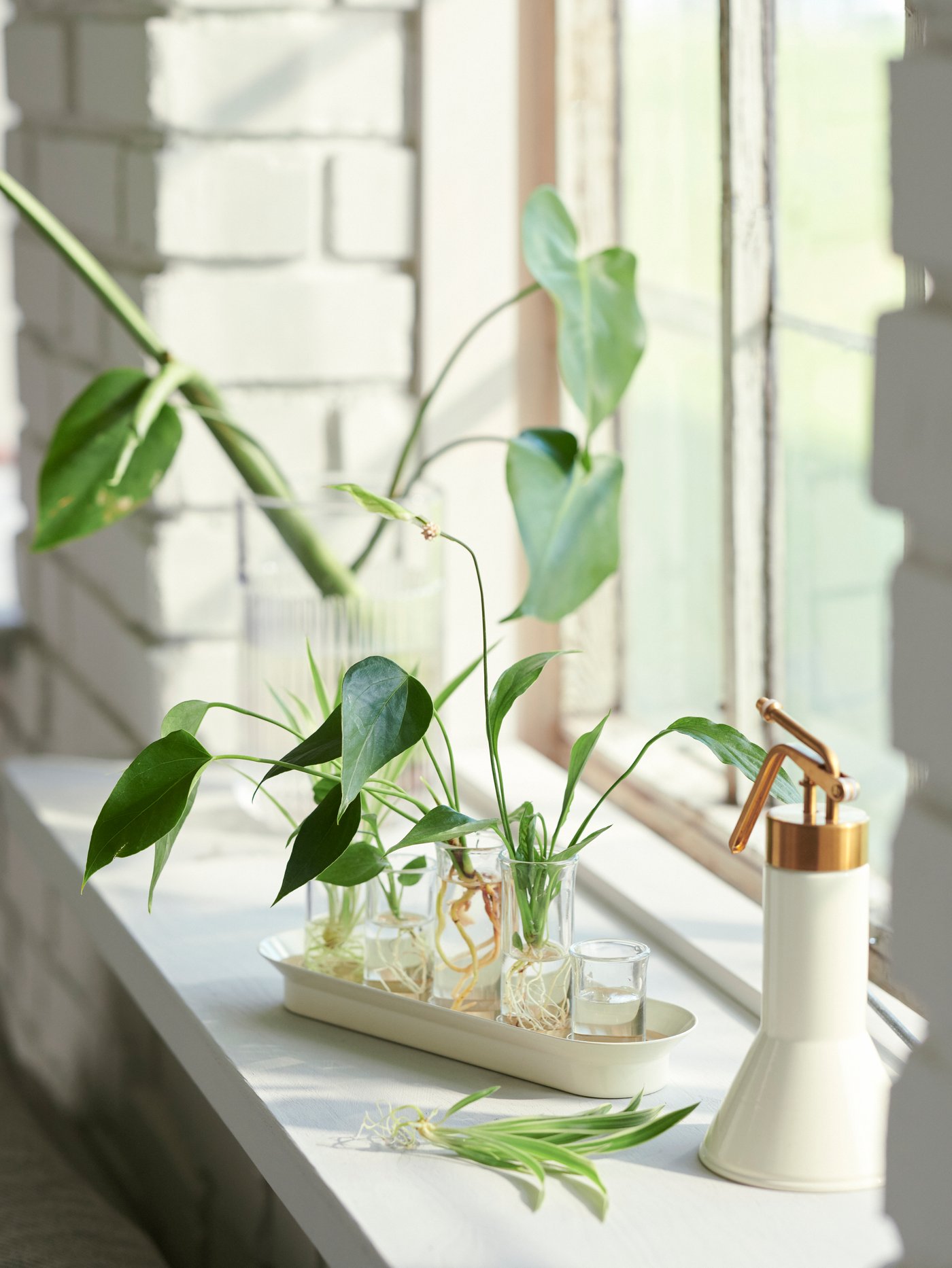 An ivory/gold-colour VATTENKRASSE plant mister