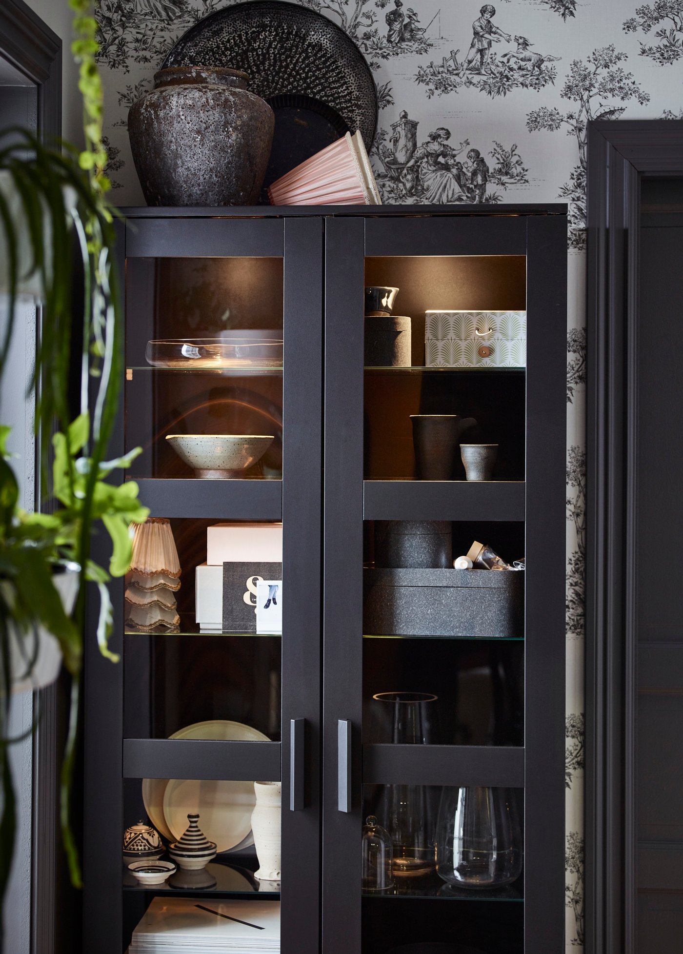 A black display case filled with dishes and collectibles in a living room