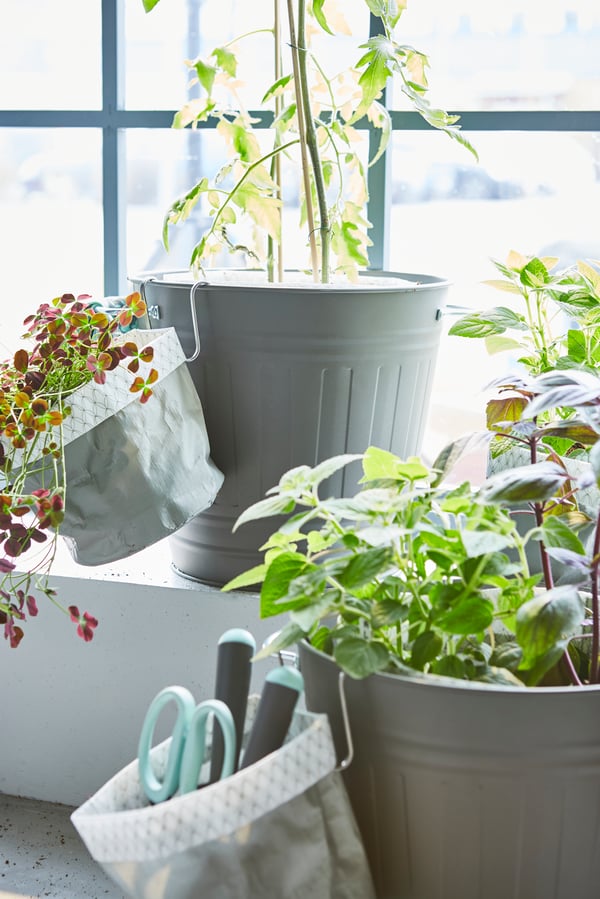 A grey KOLOKVINT plant pot