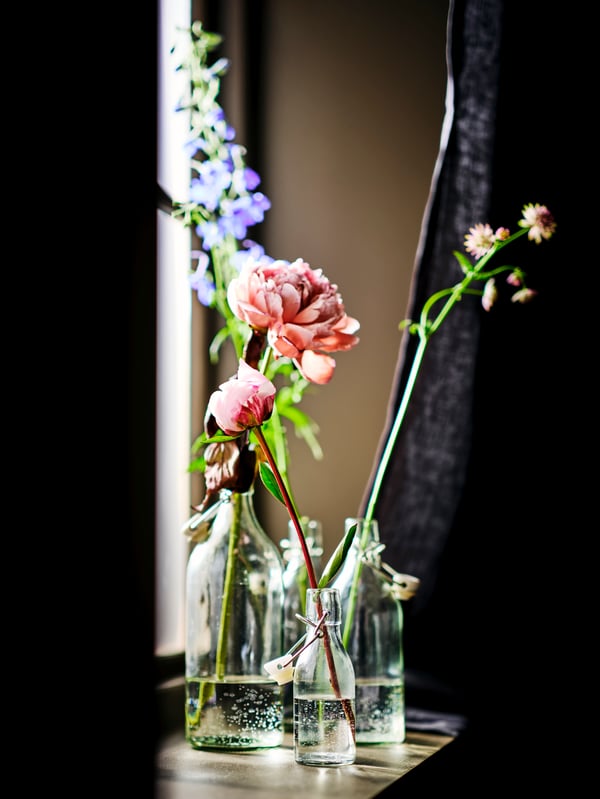 En vas med blommor står i ett fönster.