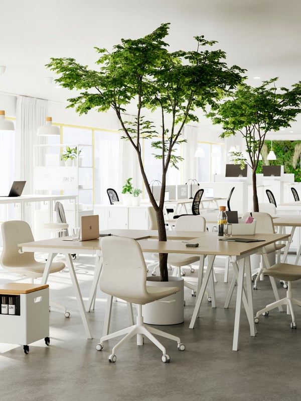 An open office room with several groups of light tables and chairs put together as meeting spots, green plants in between.