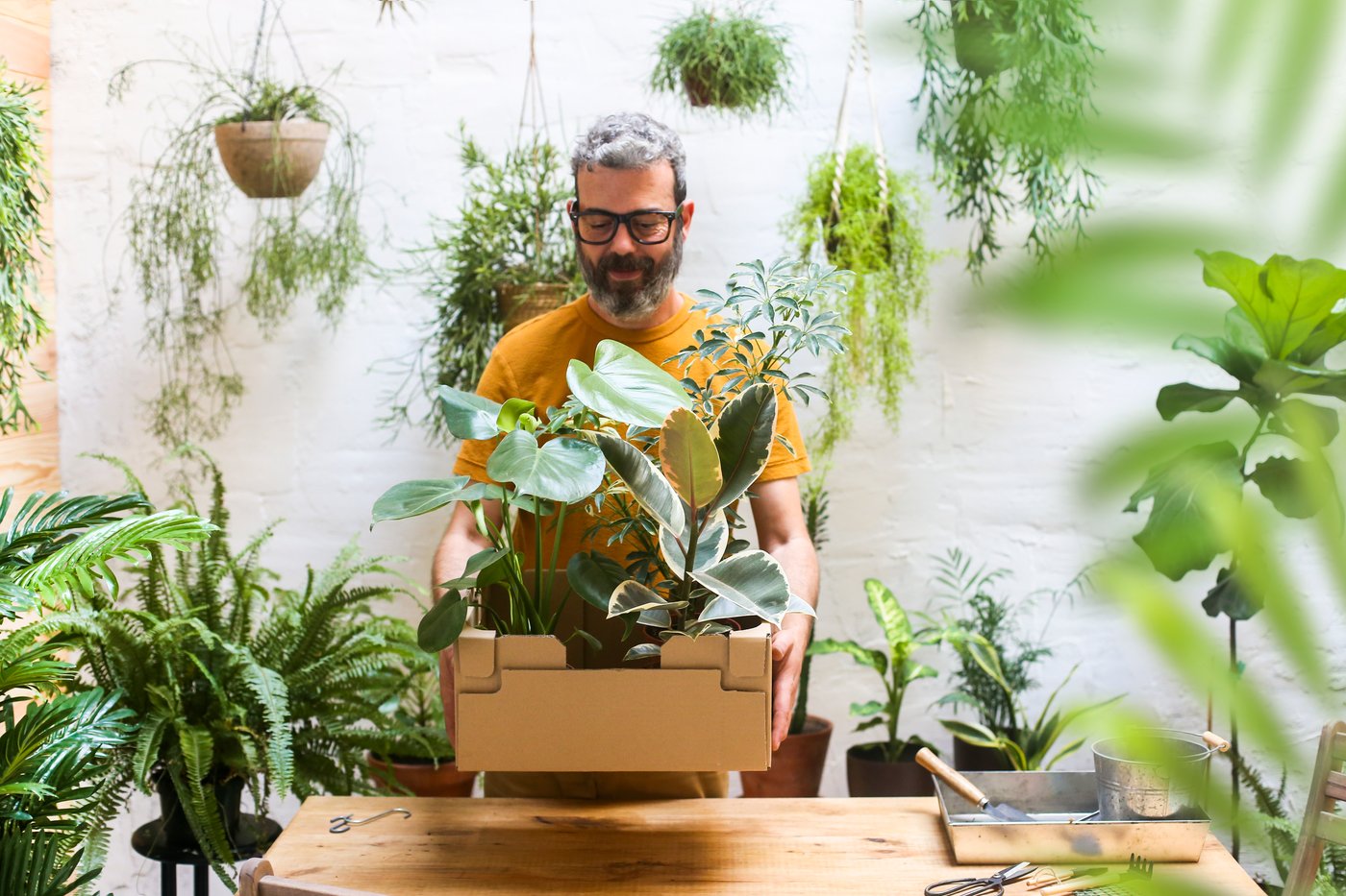 See all plants