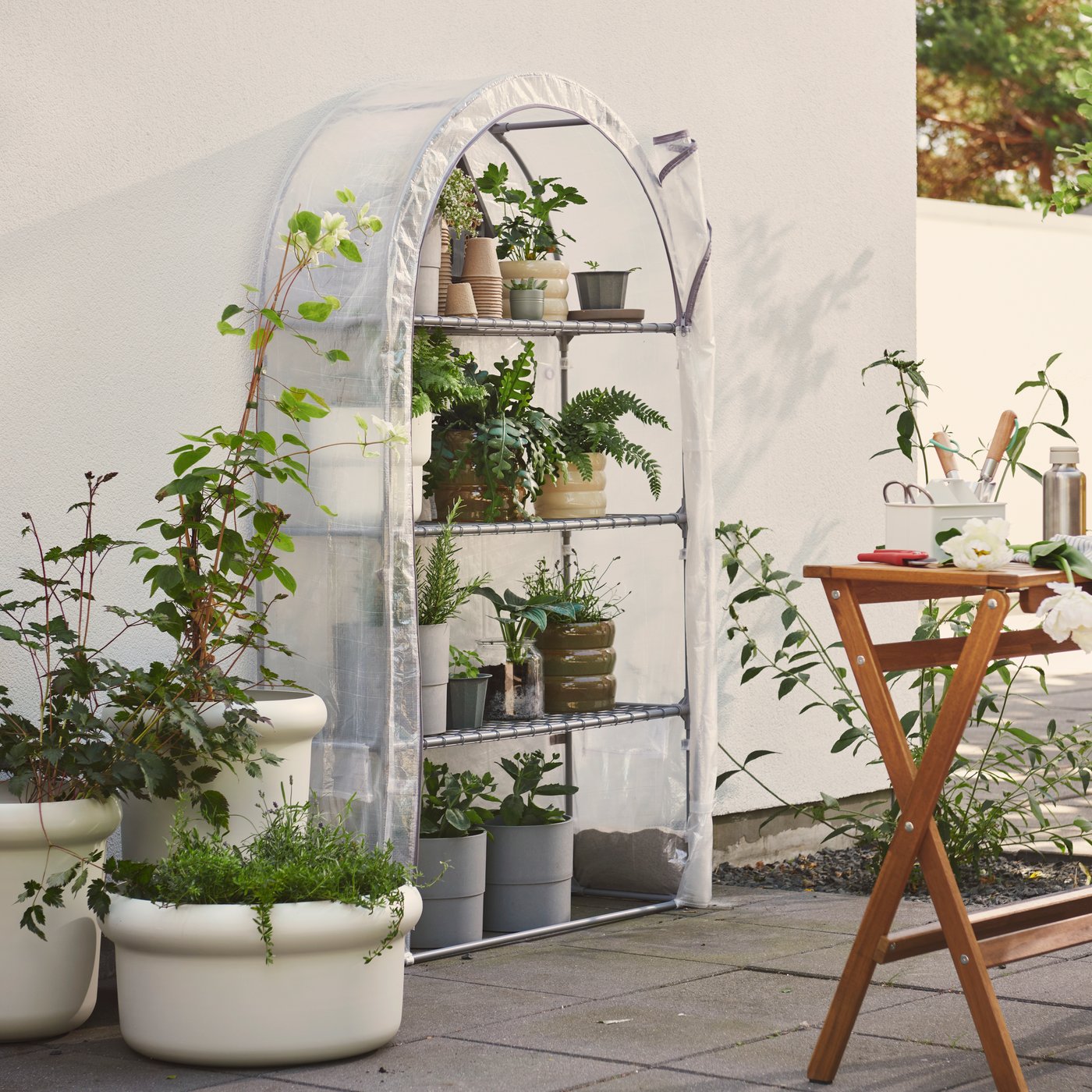 A garden with a transparent white ASPAREN greenhouse filled with plants on shelves next to a wooden table and green plants.
