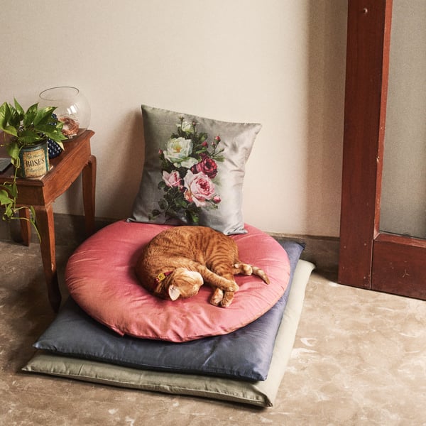 A yellow cat lies on a round pillow indoors.