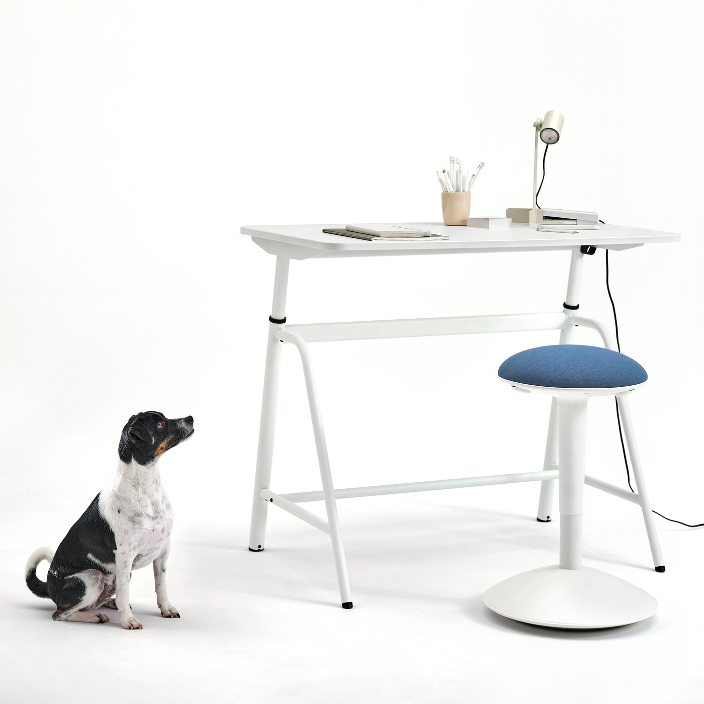 A white GLADHÖJDEN desk with a white FLOTTILJ desk lamp on top. A dog is sitting next to the desk.