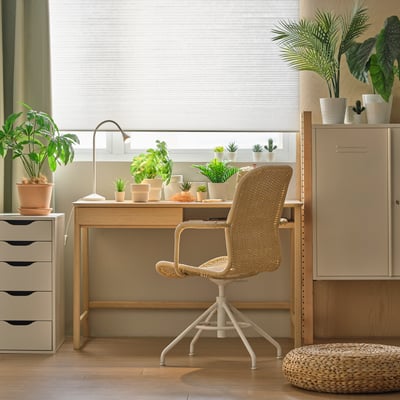 Desk & desk chairs