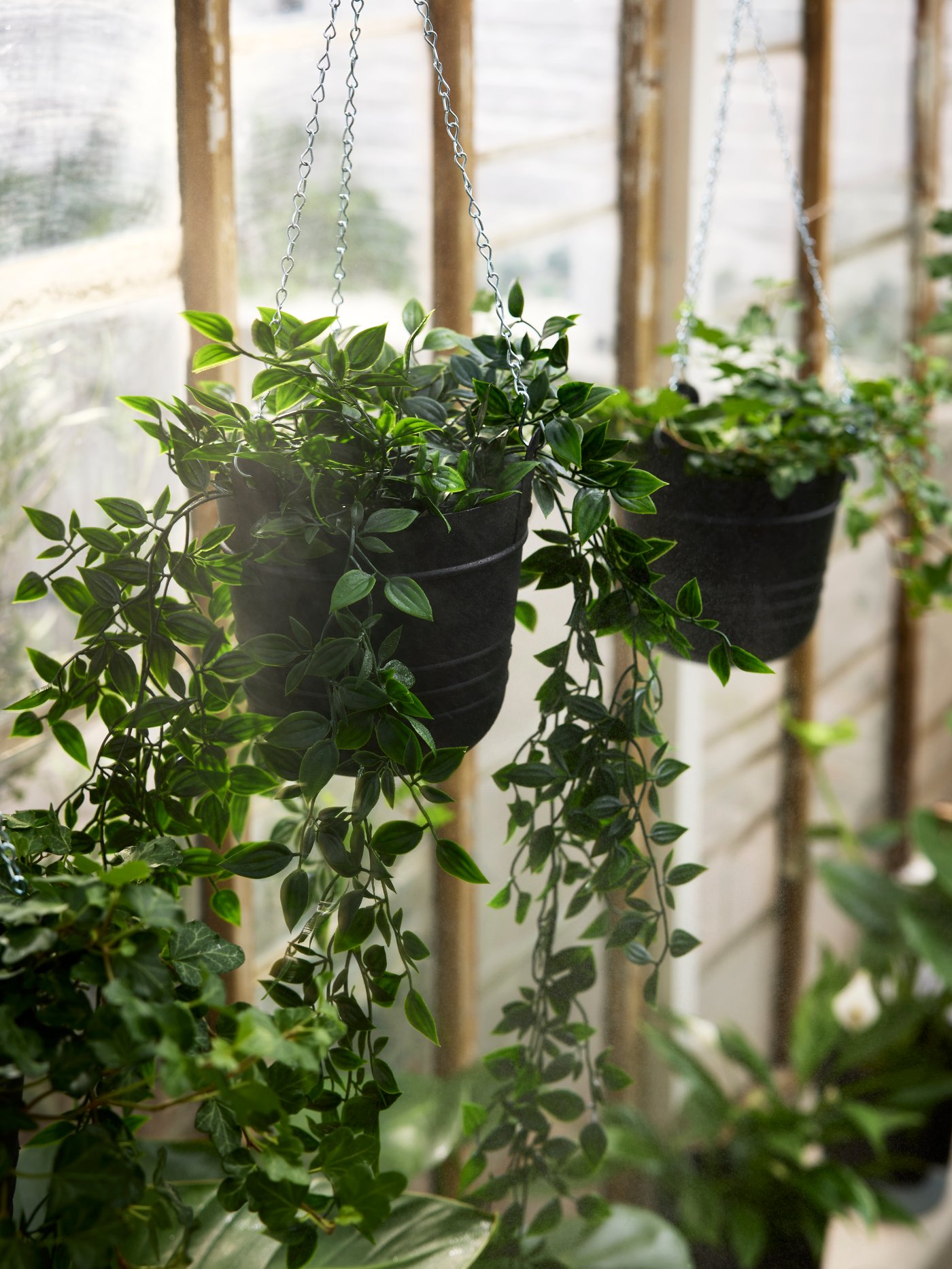 Two black PÄRLRÖNN hanging in/outdoor planters with FEJKA artificial hanging in/outdoor potted plants in a large window.
