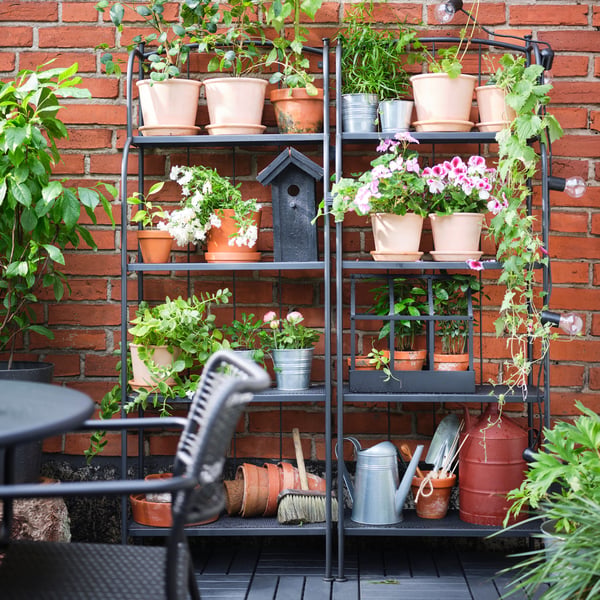 Two LÄCKÖ shelving units side by side against a wall filled with plants in terracotta pots and garden accessories.