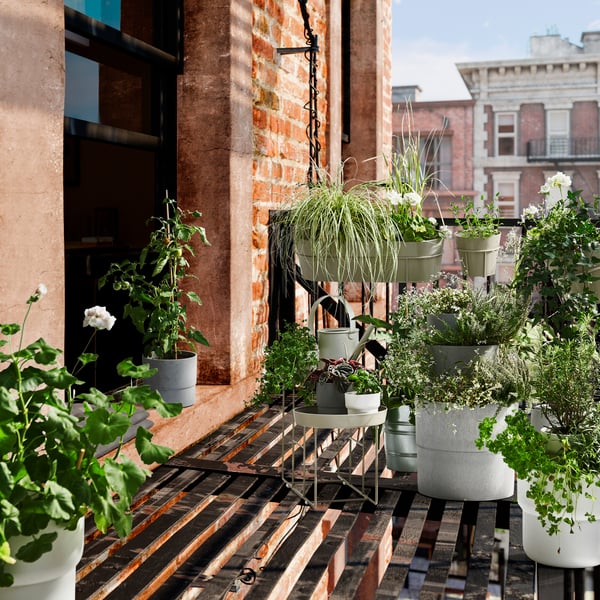 Sélection de plantes vertes dans des pots de différentes tailles sur un balcon ensoleillé.