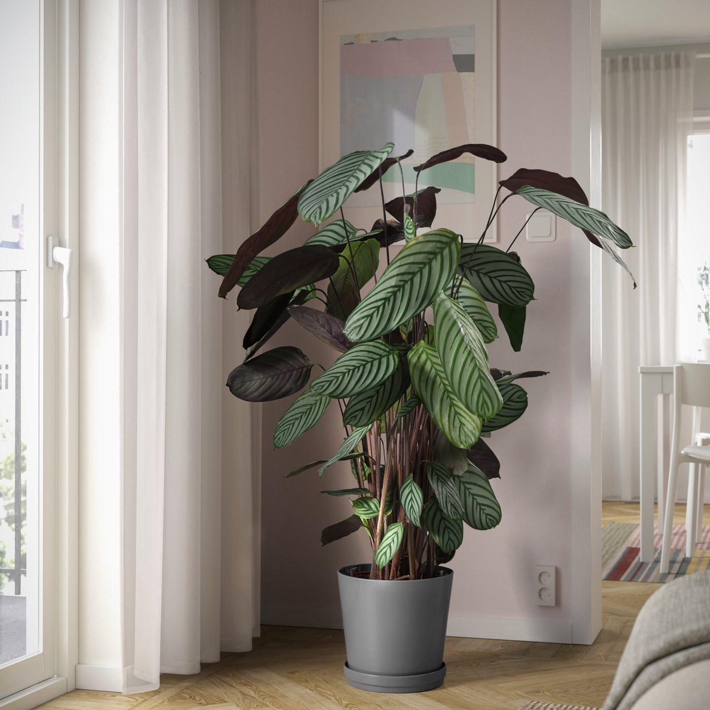 Ein Blumentopf mit einer Pflanze ist zu sehen.