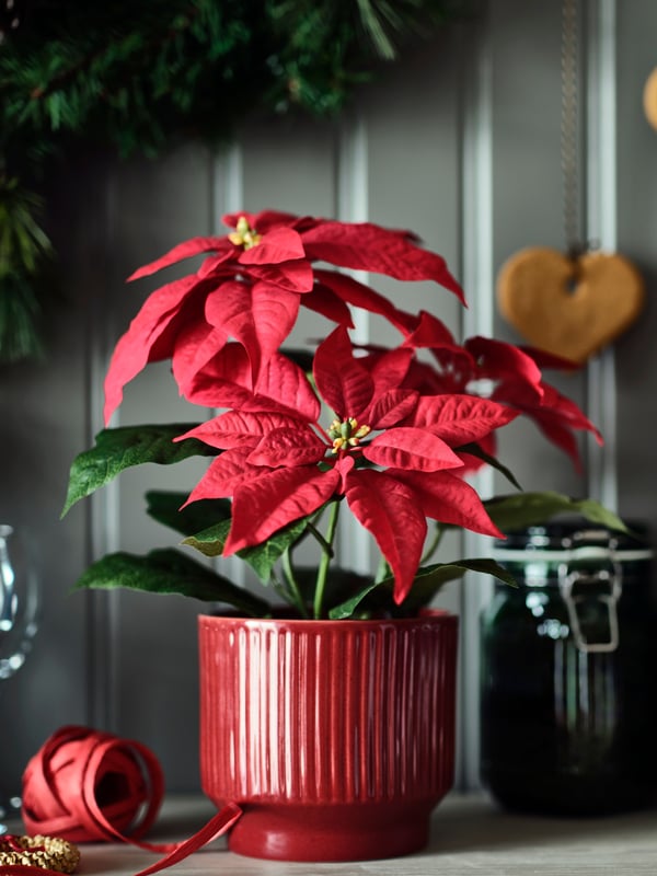 An in/outdoor/red VINTERFINT plant pot