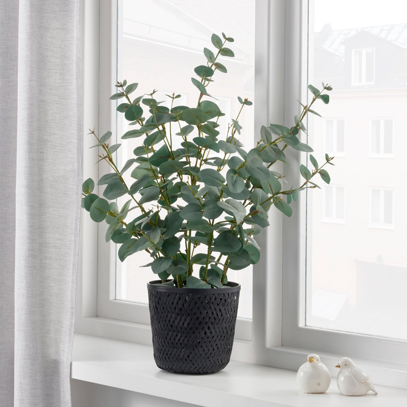 A black VATTENMELON plant pot