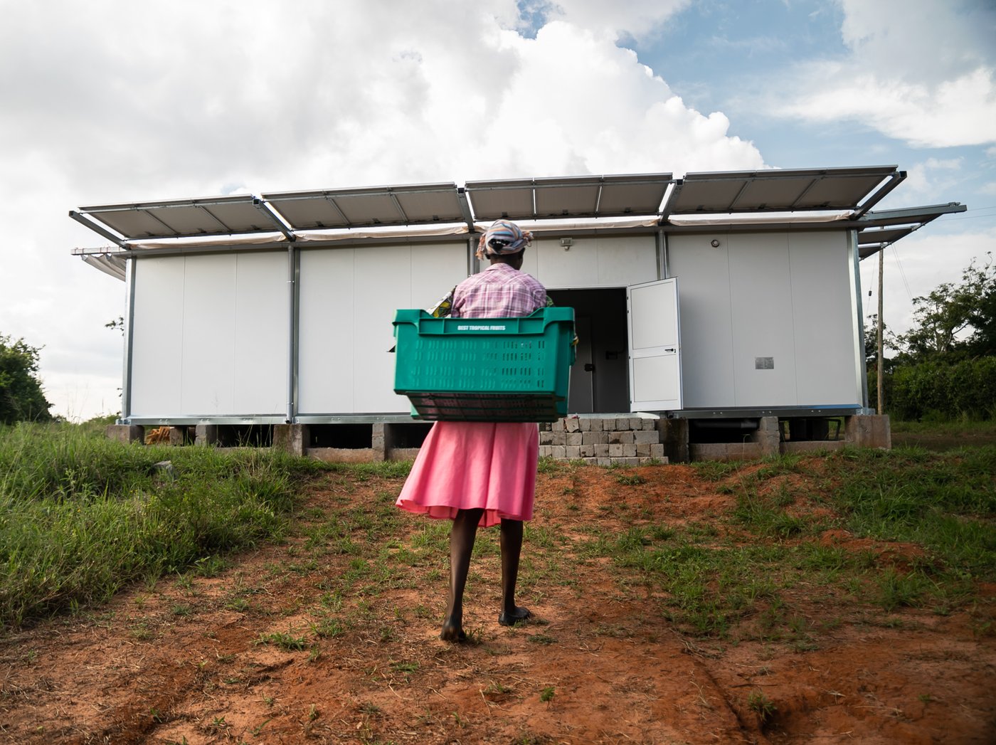 A person wearing a pink skirt and carrying a green plastic crate walks up a hill towards a white single storey building.