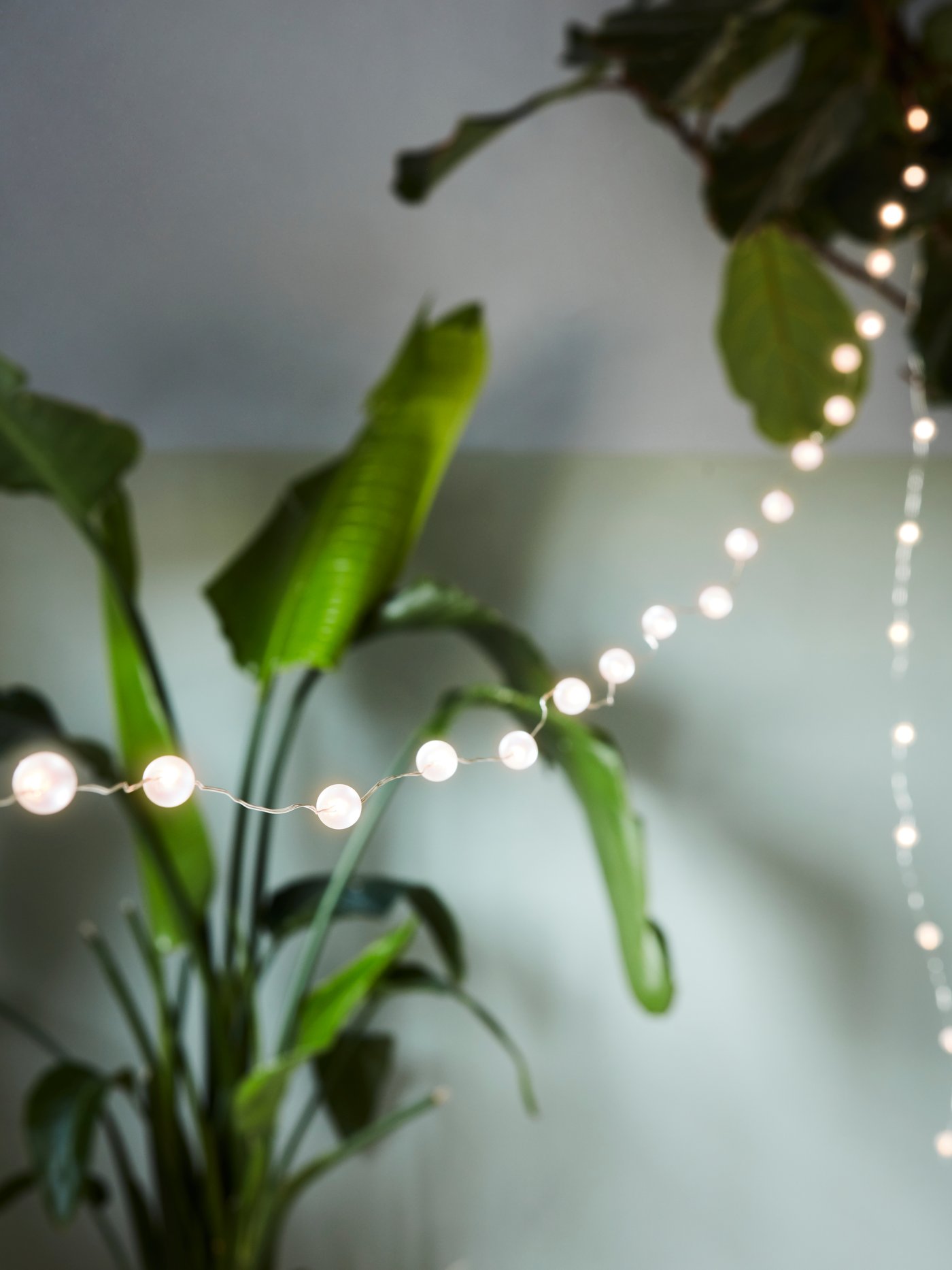 An indoor/battery-operated silver-colour SNÖYRA LED lighting chain with 40 lights