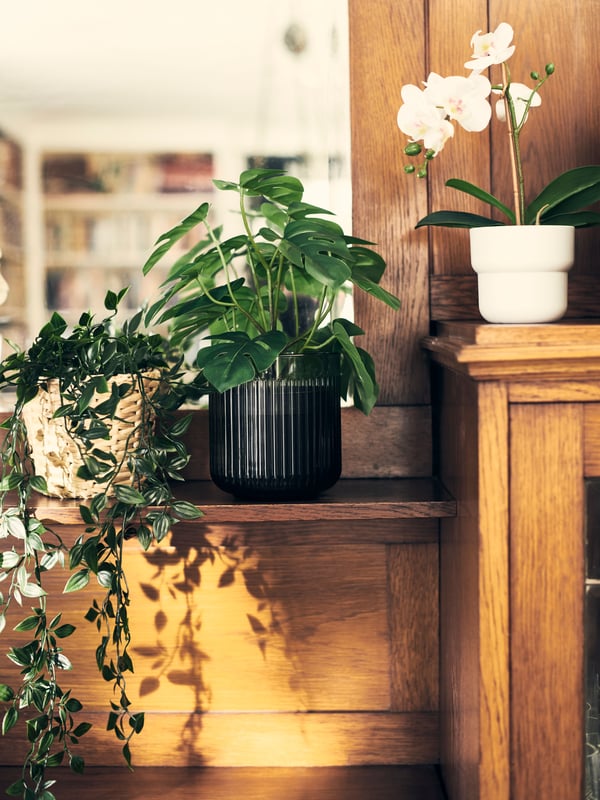 Planta artificial FEKJA en una repisa, junto a otras plantas FEJKA.