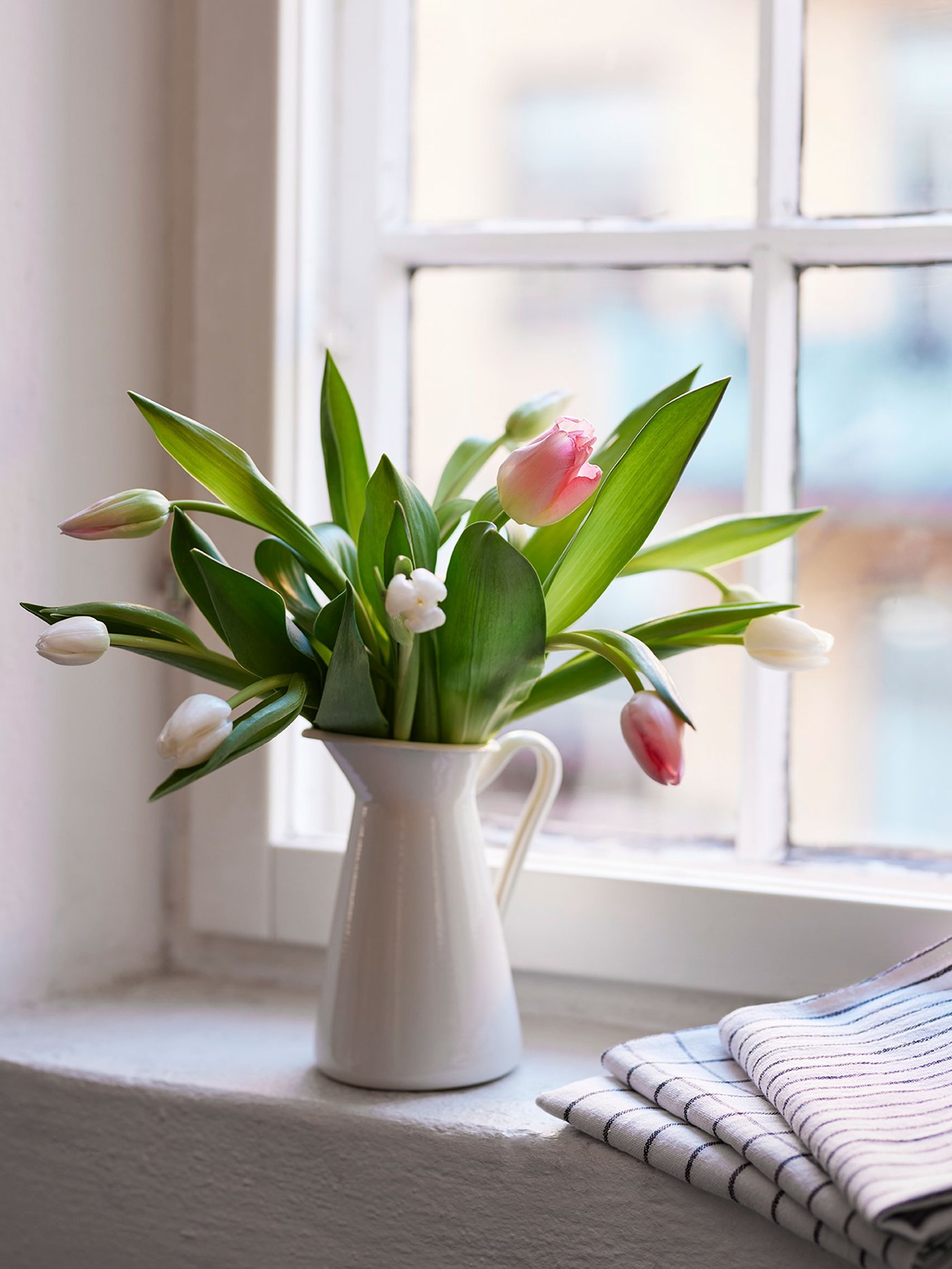 Un bouquet de tulipes et de fleurs TULIPA en assortiment