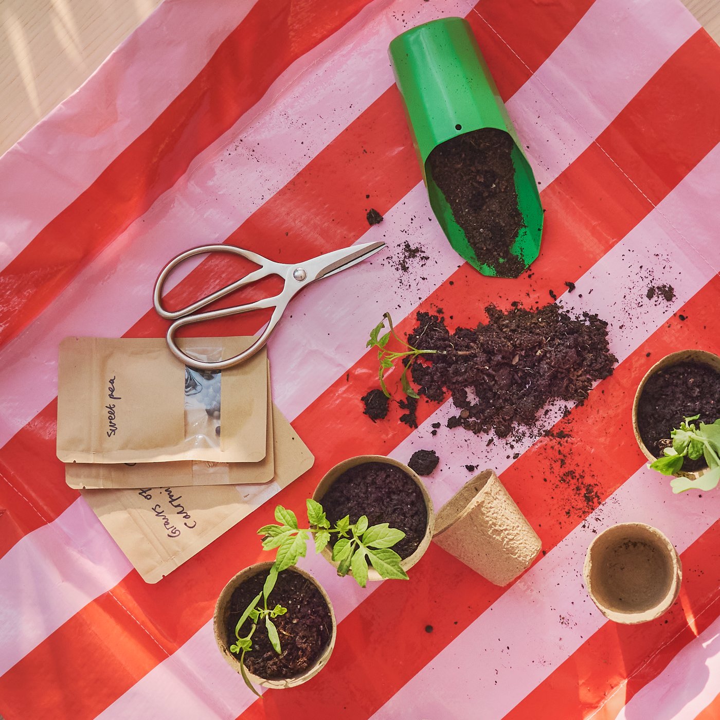 Gardening tools on a colourful background.